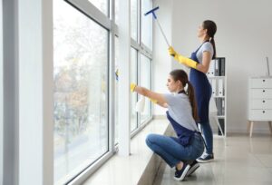 Cedar Hill TX Window Cleaning (22)